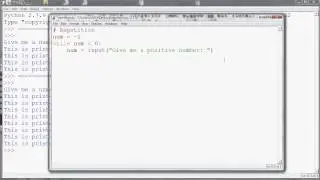 Repetition with while in Python