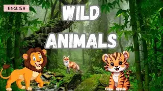 Wild Animals: Learn Common Terms