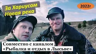 Рыбалка с каналом 