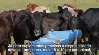 Nutrição Agroline -  a maneira correta de fornecer a suplementação à pasto