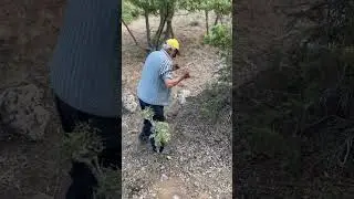 Deniyoruz 