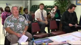 Everybody loves a good comeback story, right?