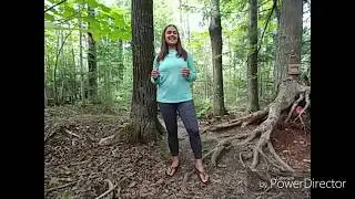 Feeling Stressed At Work?  Try This EFT Tapping Sequence :)