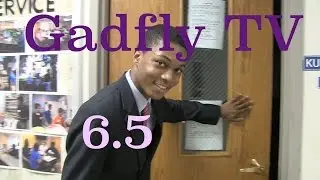 Gadfly TV 6.5