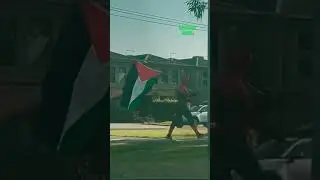 Он стал героем ради Палестины