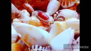 МИНИ-ВИДЕО/ Хочу на море⛵