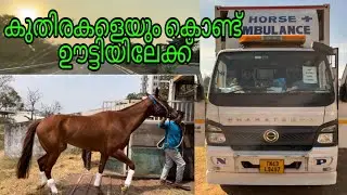 കുതിരകളെയും കൊണ്ട് ഊട്ടിയിലേക്ക്😍 #pkpmangalath #driverlife #busdriver #komban