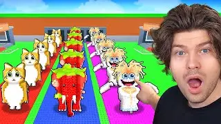 😱Maximum Luck on THREE CONVEYORS on the ADMIN SERVER in Steal a Brainrot..