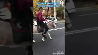 Зур  машена куренг