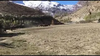 Бузкаши дар дехаи Анзоб