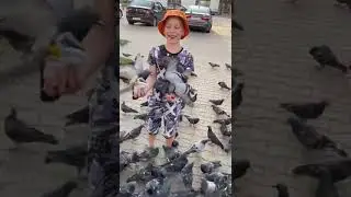 Повелитель птиц)