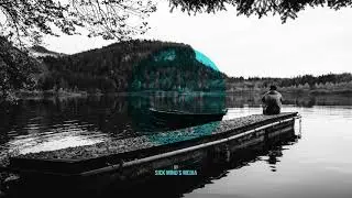 Villagers - Nothing Arrived