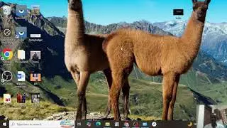 No Java Development Kit JDK Found Flutter Java Development Kit (JDK) Installation JDK installation