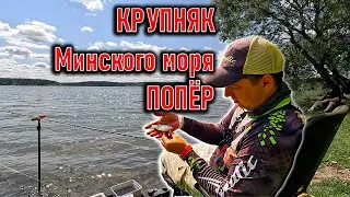 Алексей на Минском Море ; Elegance Accela Feeder