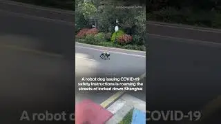 A robot dog barking COVID-19 safety measures is roaming the streets in Shanghai, China. #shorts