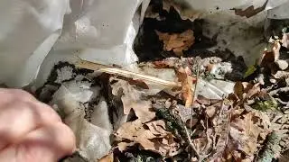 Открываю с роз укрытия, но