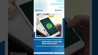 Cara Kirim Foto di WhatsApp Web dengan Kualitas Aslinya Agar Tidak Pecah