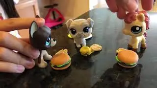 Lps Dare Video: LittleJennaPlays