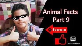 Animal Facts part 9