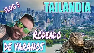 QUE VER en BANGKOK - Chinatown 🏮y Parque LUMPINI 🦎
