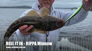 REEL IT IN - RIPPA Minnow