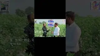 "એડવાન્સ કપાસ" લગાવો શરત આનાથી વહેલો ઉતારો લેવાની