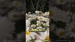 Доброе утро!!!☀️