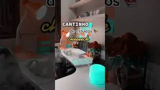 Meu cantinho de estudos ✨