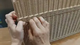 Короб обыкновенный ))