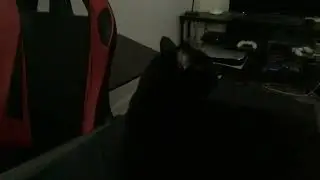 Vladimir sits besides me