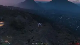 Wild ride