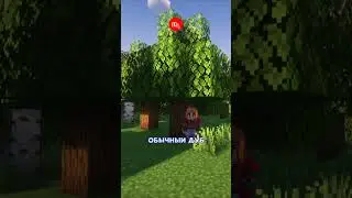 СПИДРАН ПО ДУБАМ - ПОЕХАЛИ #minecraft #interesting  #facts