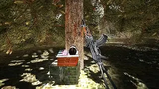 S.T.A.L.K.E.R.: Зов Припяти - ВСЕ ТАЙНИКИ под ёлкой.