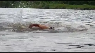 10 de setembro de 2016