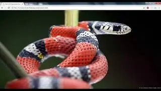 How to Make Image SlideShow in HTML Without JavaScript | How to create a Image Slider in html