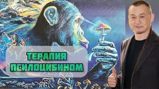 Псилоцибин. Ученые медики. Ищем научного руководителя.