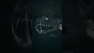 Creepy Ocean (Short)