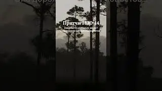 Притчи 31:10-14 современный перевод Библии #shorts