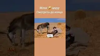 #мем Смотрим до конца