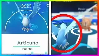 OMG! FIRST ARTICUNO GYM BATTLE IN POKEMON GO!!!