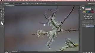 PHOTOSHOP CS6 & CC cc photoshop crop tool