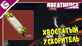 Хвостатая шаурма ➤ Breathedge #6