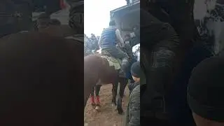 бузкаши қаромазор хурсандмурод 01 01 23 🐫🇹🇯🇺🇿🇰🇬🇰🇿👍