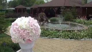 Петрос и Тамара Свадебный клип