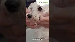 ¡Volvemos con TODO! Para la vuelta a CASA 🏠