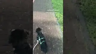 Flora's eerste wandeling ❤️