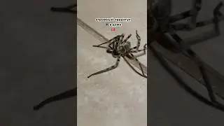 🥲зашел не в ту дверь