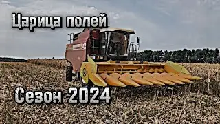Уборка кукурузы в Краснодарском крае! Палессе GS12 + ЖК-80