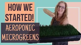Our Microgreen Journey | How We Started