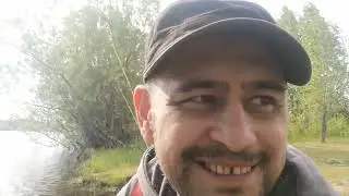 Рыбалка на донку. Протока Кривуля. Оснастка Running Rig.